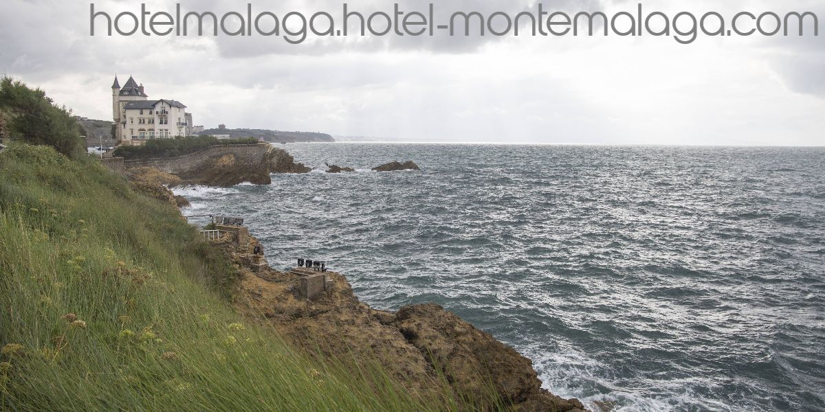hotelmalaga.hotel-montemalaga.com